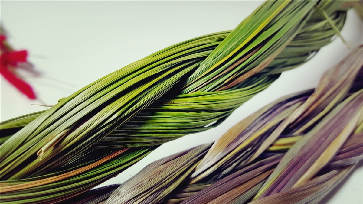6 Large Sweetgrass Braids Hierochloe Odorata Smudge Handmade Sustainable Incence