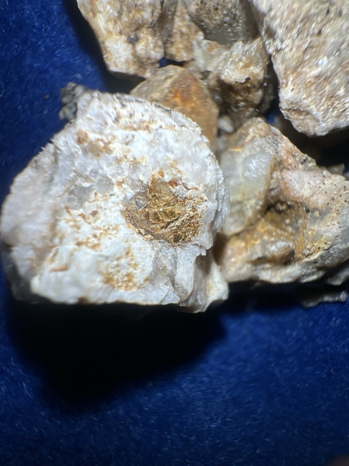 PayStreak™ Gold Ore —🔥 5 lbs 🔥Vein Quartz w/ REAL Visible Gold!