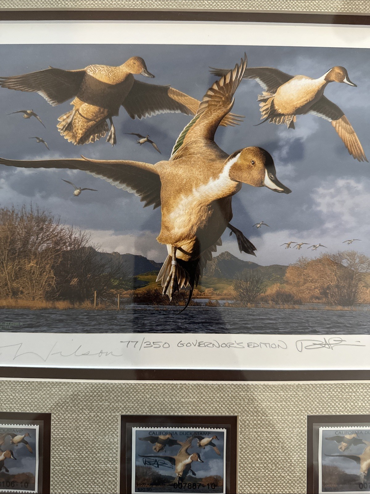 1997 California Duck Stamp Pete Wilson Governor's Edition 77/350