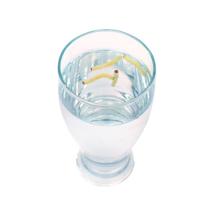 4 INSTANT MAGGOT WORMS - Prank Drink Magic Trick Gag Novelty Joke