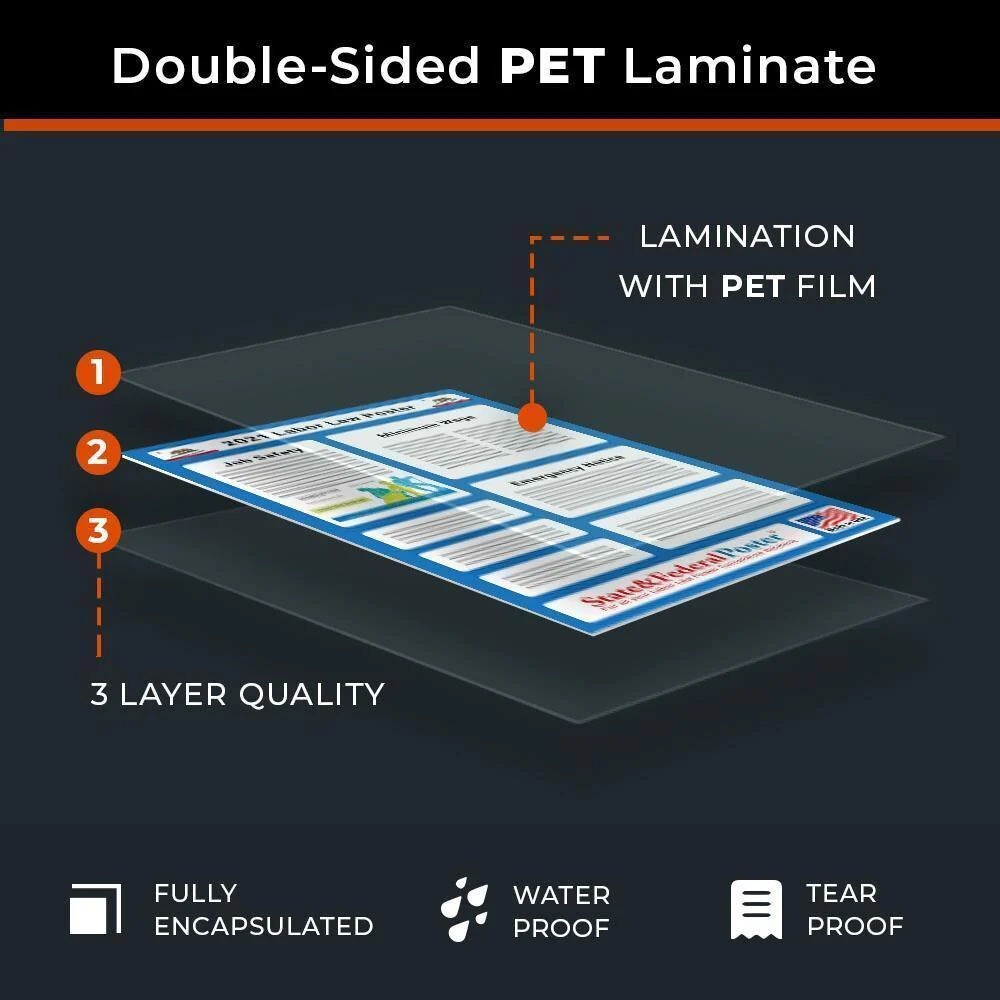 California State and Federal Labor Law Poster 2025