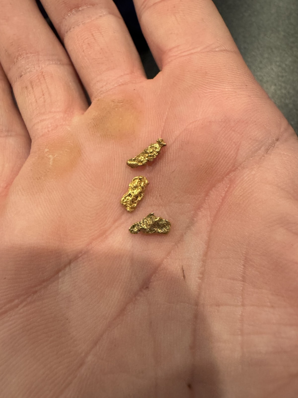 Presidential 10 Gram Gold Nugget Hunt Rich Unsearched Paydirt With Added Gold