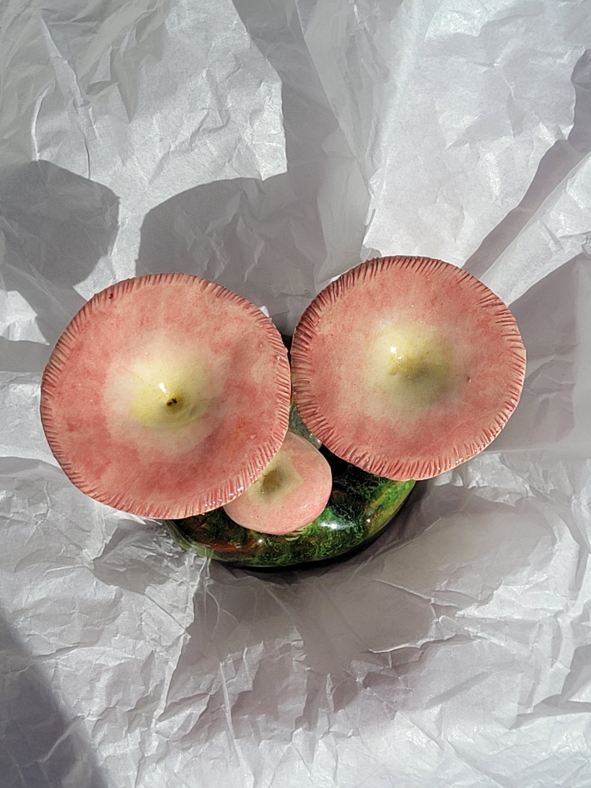 Rare Vintage Early Lorenzen Lantz Nova Scotia Clay Mushroom Russula Mariae