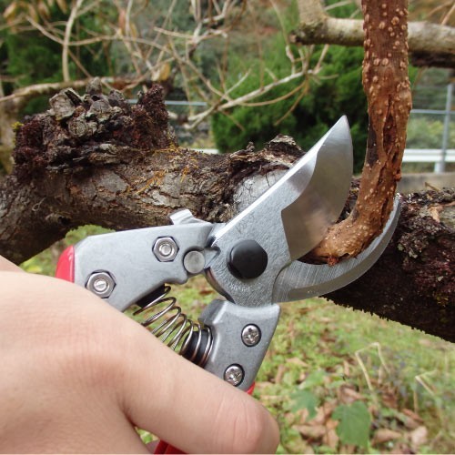 ARS VS-9Z Bonsai Pruning Shears 9in Heavy Duty Garden Pruner Japan