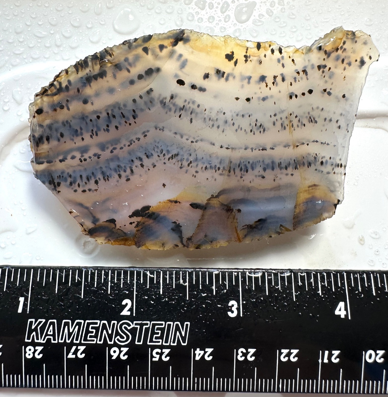 Montana Moss Agate End Cut, 58g, Cabbing/Lapidary