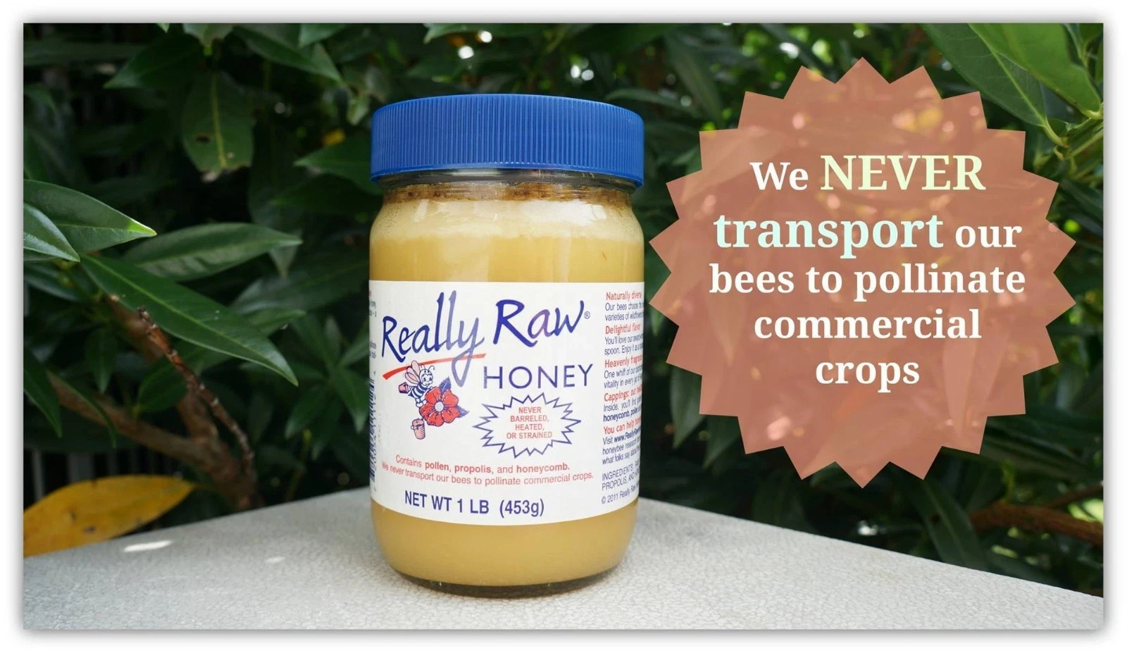 Really Raw Honey 16oz |453g | 1lb Jar 〡🐝 FREE SHIPPING 🍯