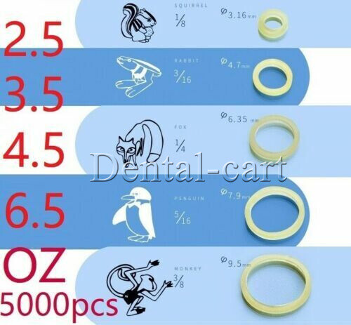 15 Sizes Dental Orthodontic Rubber Bands Elastics Latex Braces 3.5 /5.0 /6.5 oz