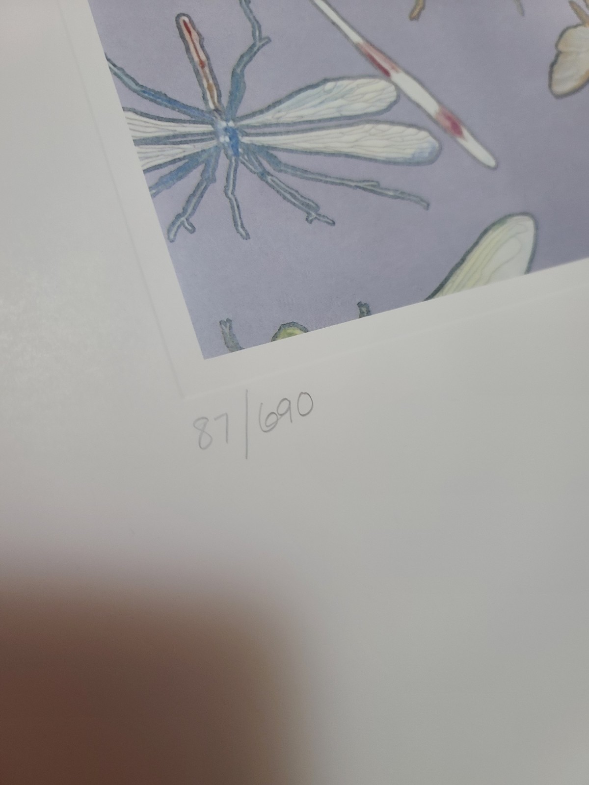 Alice Cooper Hand Signed Art Print Welcome to My Nightmare Lithograph xxx/690