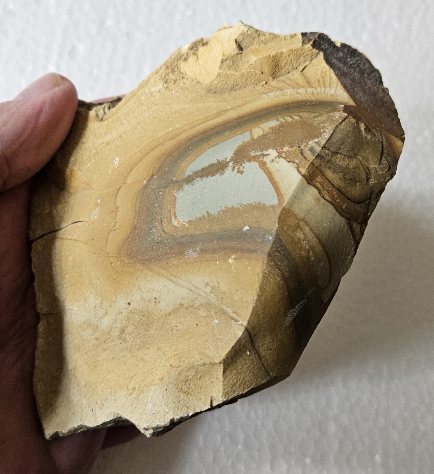 3+ Pounds Old Stock Owyhee Picture Jasper