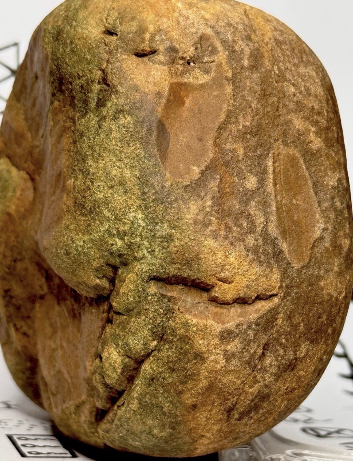 Native American Indian Authentic Artifact Stone Carved Effigy, 3 lb 2 oz • VA