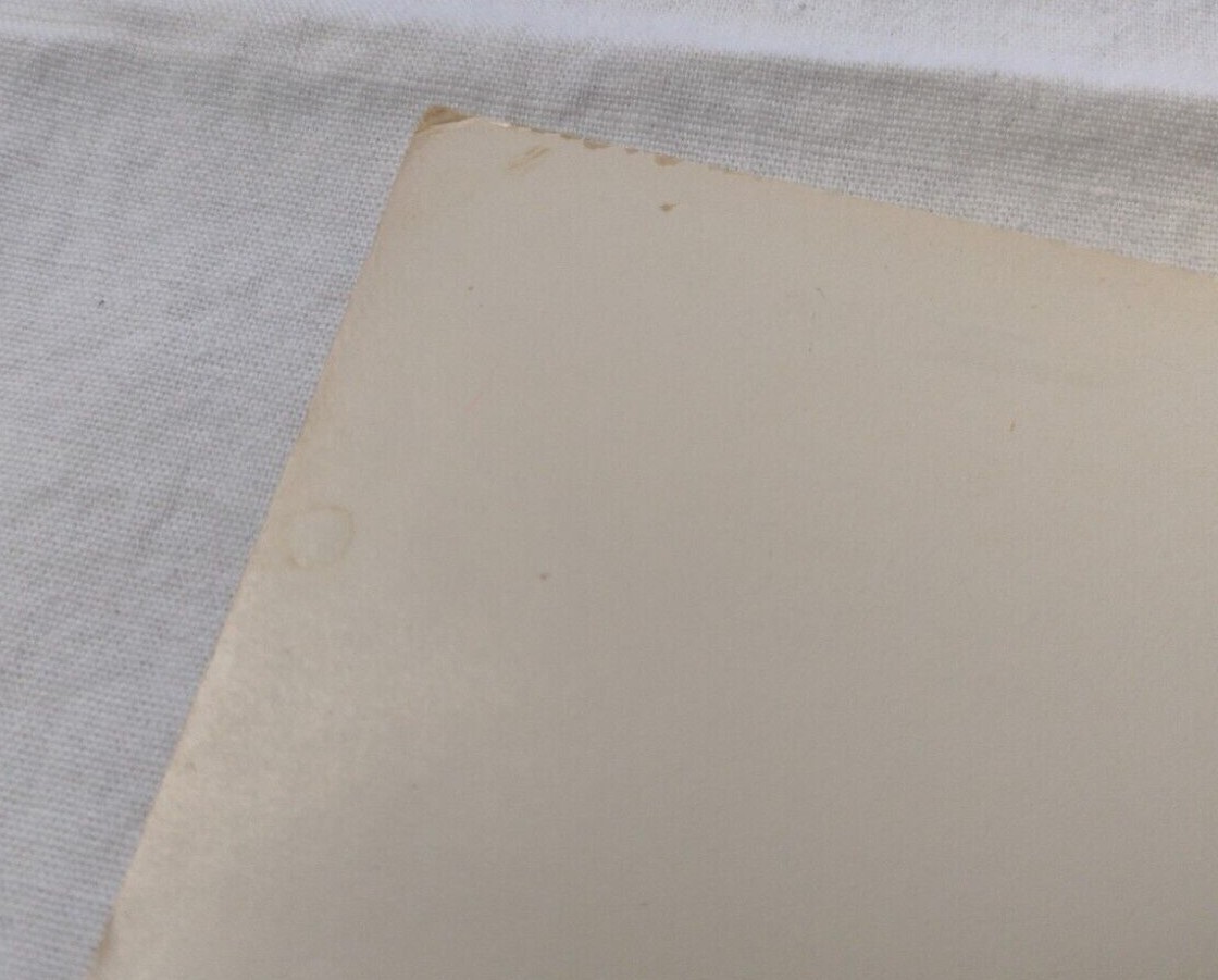 New Old Stock '75 Adventures Of The Wilderness Family 14x22 Theater Movie Poster