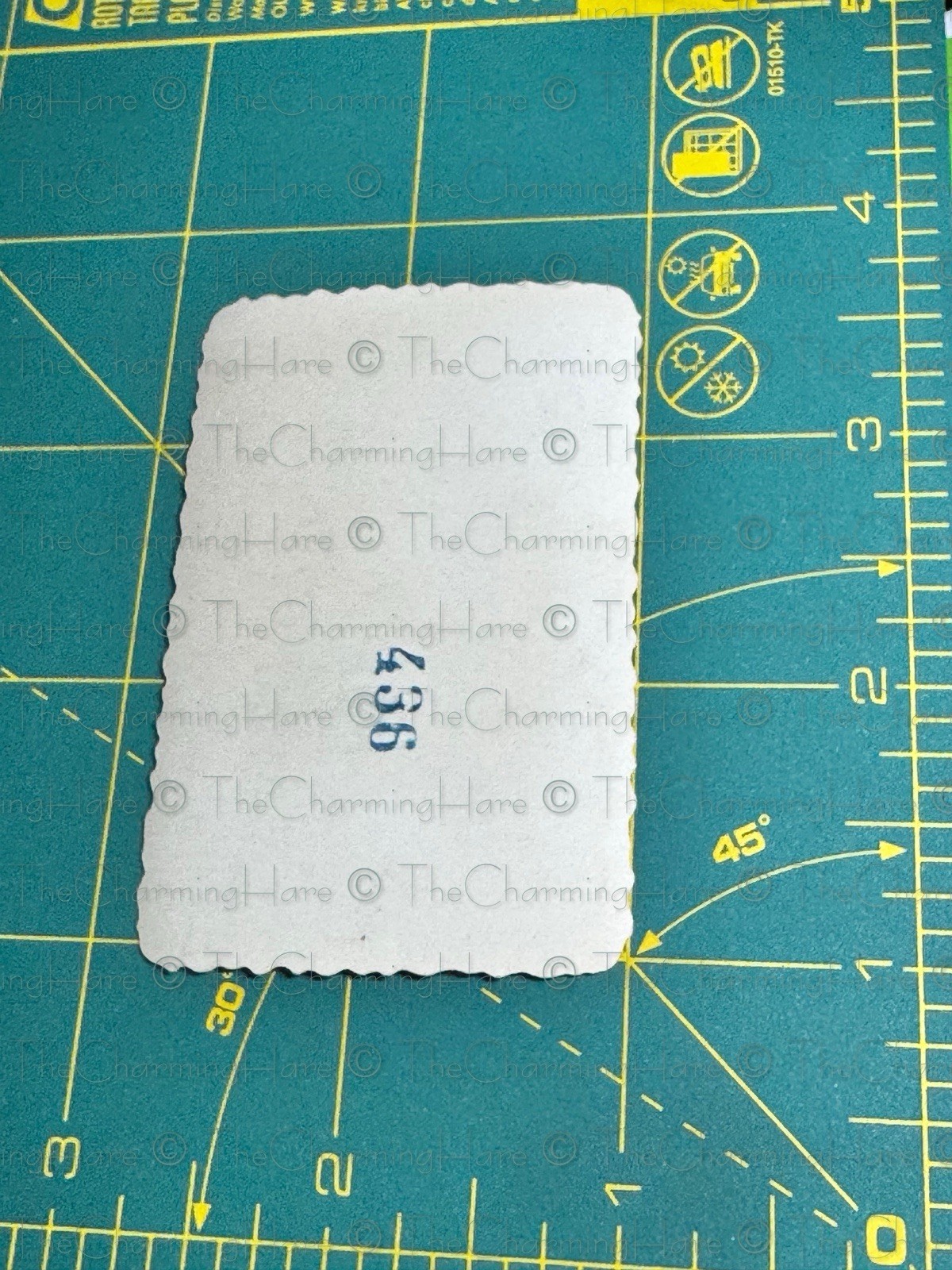 Vintage Photo African American Handsome Man Street Parking Americana Automobiles