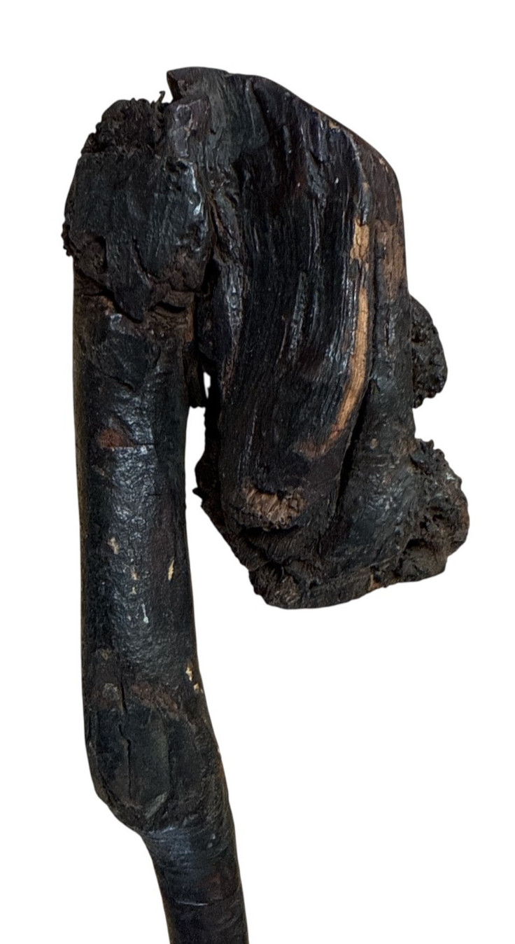 Antique Native American Vtg Fire Hardened Root War Club Weapon 25" Long