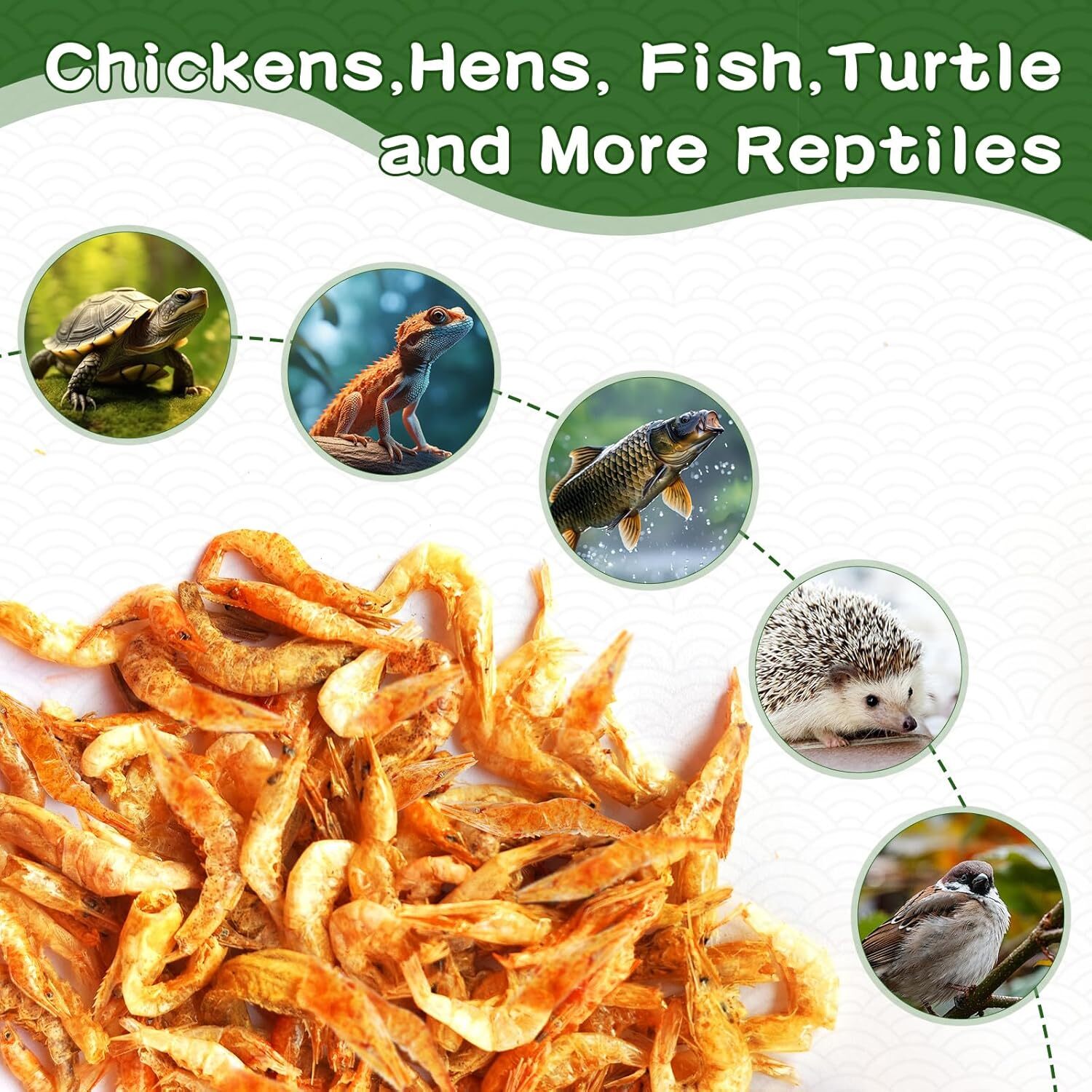 Dried River Shrimp High Protein Freeze Red Dried Shrimp All Natural Bird Food