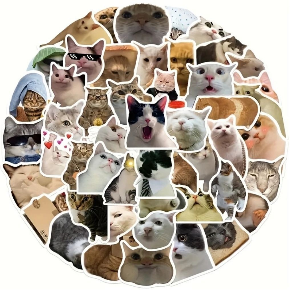 50PCS Funny Cat Stickers Pack Cute Waterproof Vinyl Decals for Laptop Water Bott