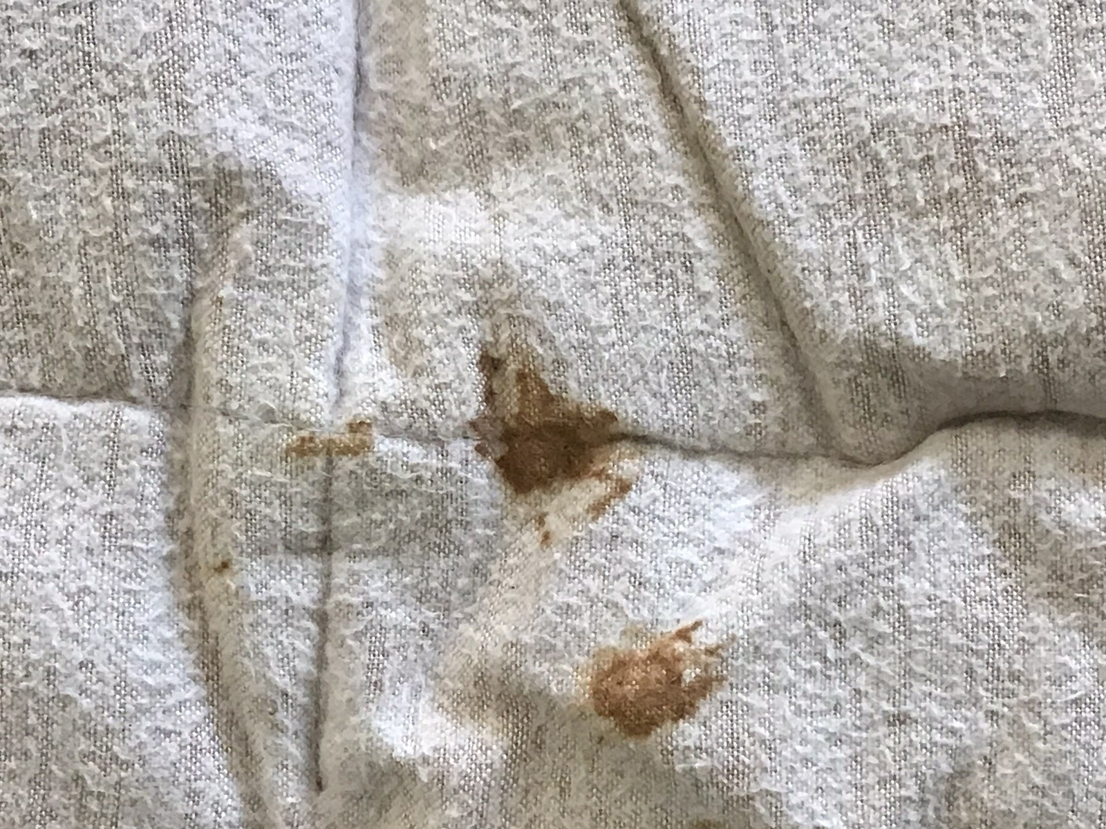 Woods Arctic Sleeping Bag / Alaska Sleeping Bag, Trail