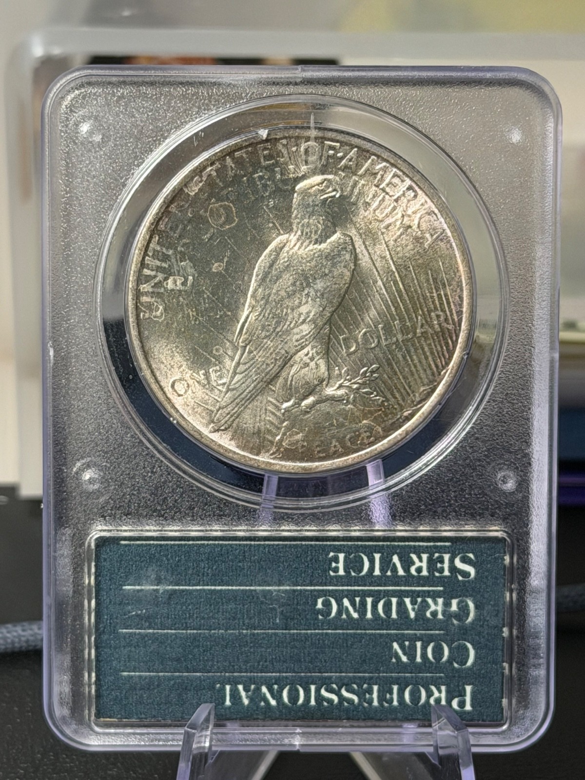 1923 Peace Dollar PCGS MS63 "Rattler Holder"