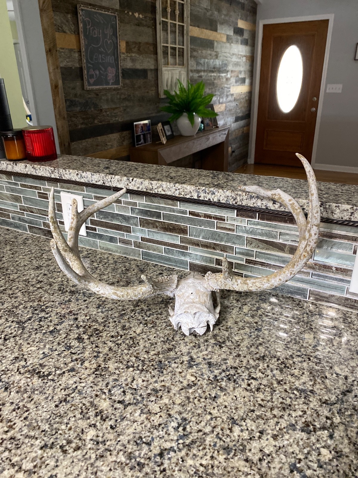 Wild 9 Point Whitetail Deer Antler Rack Horn Skull Decor Man Cave Cabin Decor