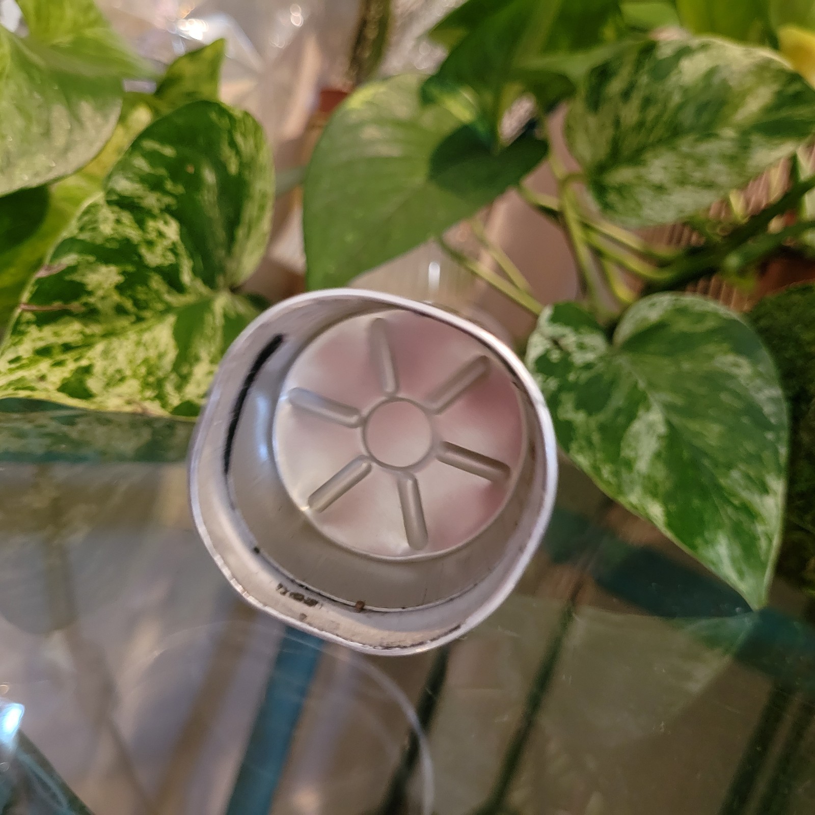 Sika S1KA220 Sikaflex 220+ Fast Curing Urethane Adhesive