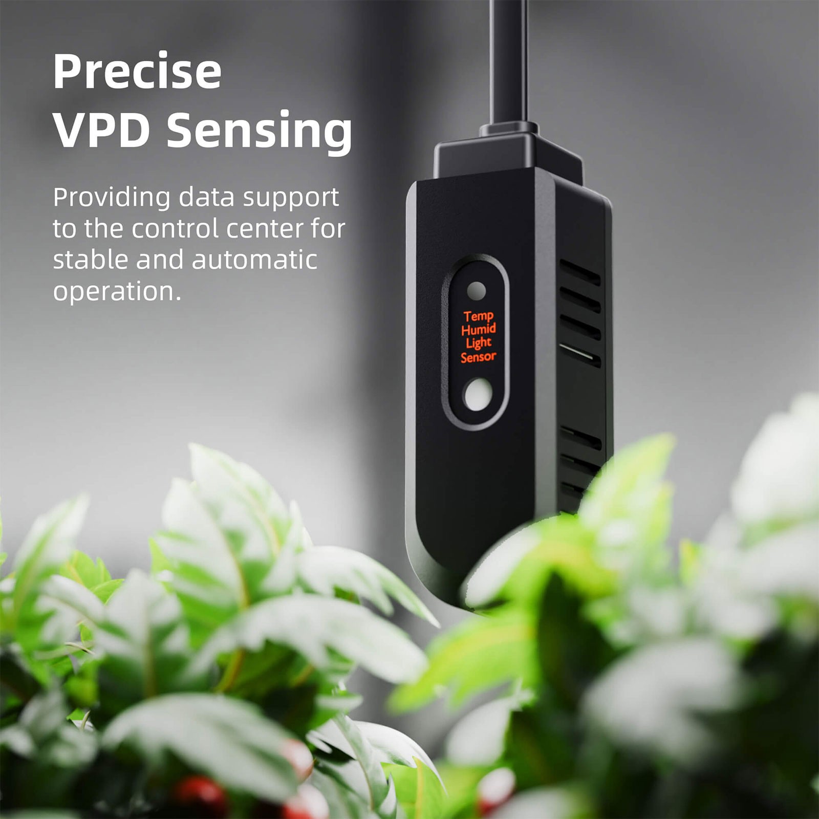 Spider Farmer Smart Grow Tent Kit w/SF1000EVO LED 2x2ft Grow Tent W/GGS Wifi