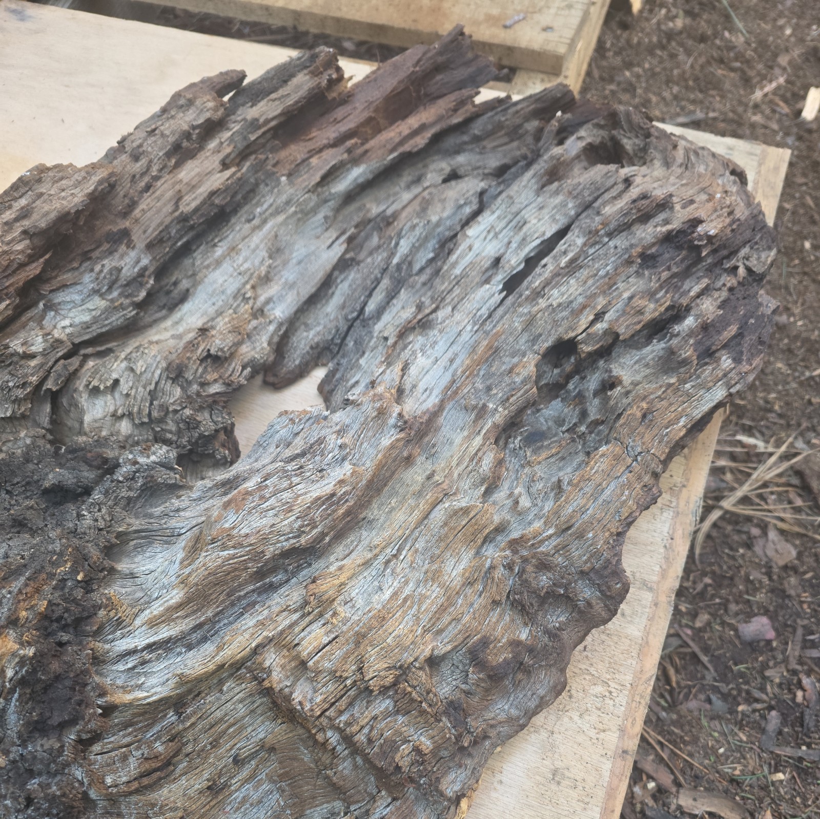 Desert Ironwood Live Edge Slab Epoxy Resin River Table Woodworking Art Mill Log