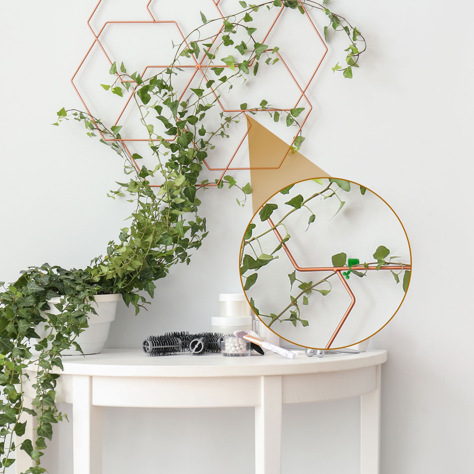 100Pcs Plant Climbing Wall Fixture Clips for Indoor Outdoor Black 7.2mm