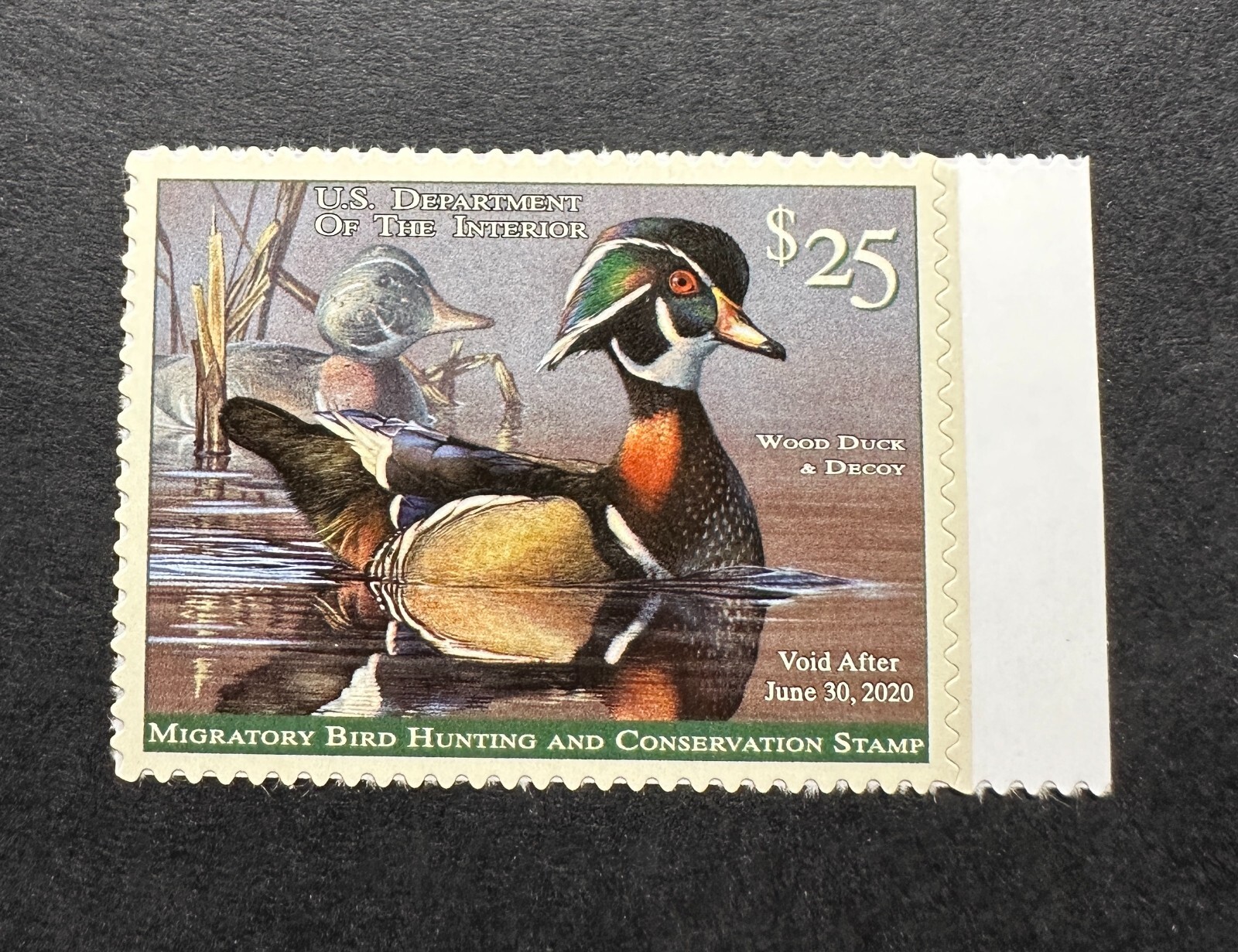 WTDstamps - #RW86 2019 - US Federal Duck Stamp - Mint OG NH **WELL CENTERED**