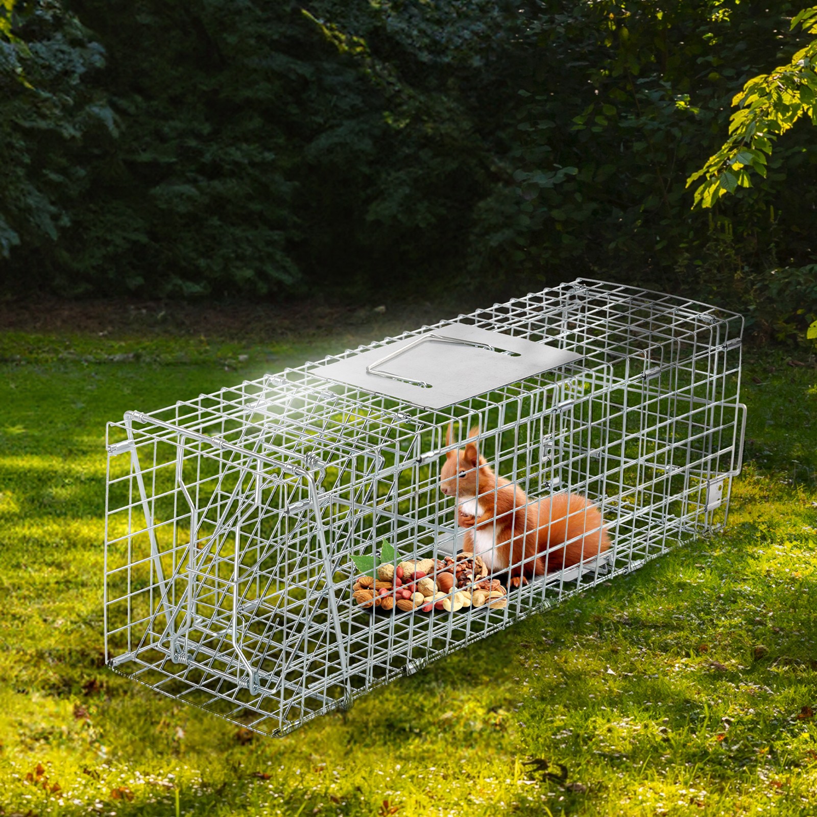 Indoor Live Animal Cage Trap 24 x 7.7 x 8.5in Humane Cat Trap Squirrels Mouse