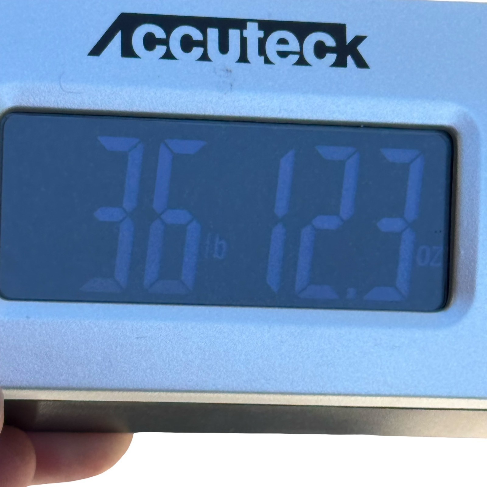 Tropical Parrots Decorative Iron Folding Screen Room Divider Painted Panel Birds