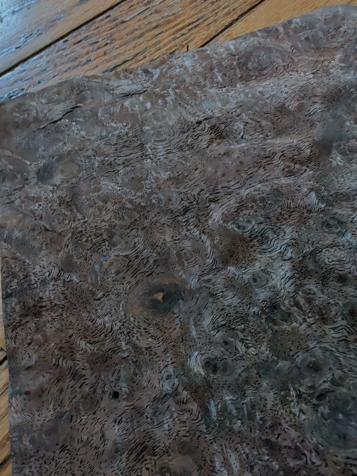 Walnut burl veneer 9 1/2" x 8 1/4" wood 1/42 raw +3 more pieces cracks buckled