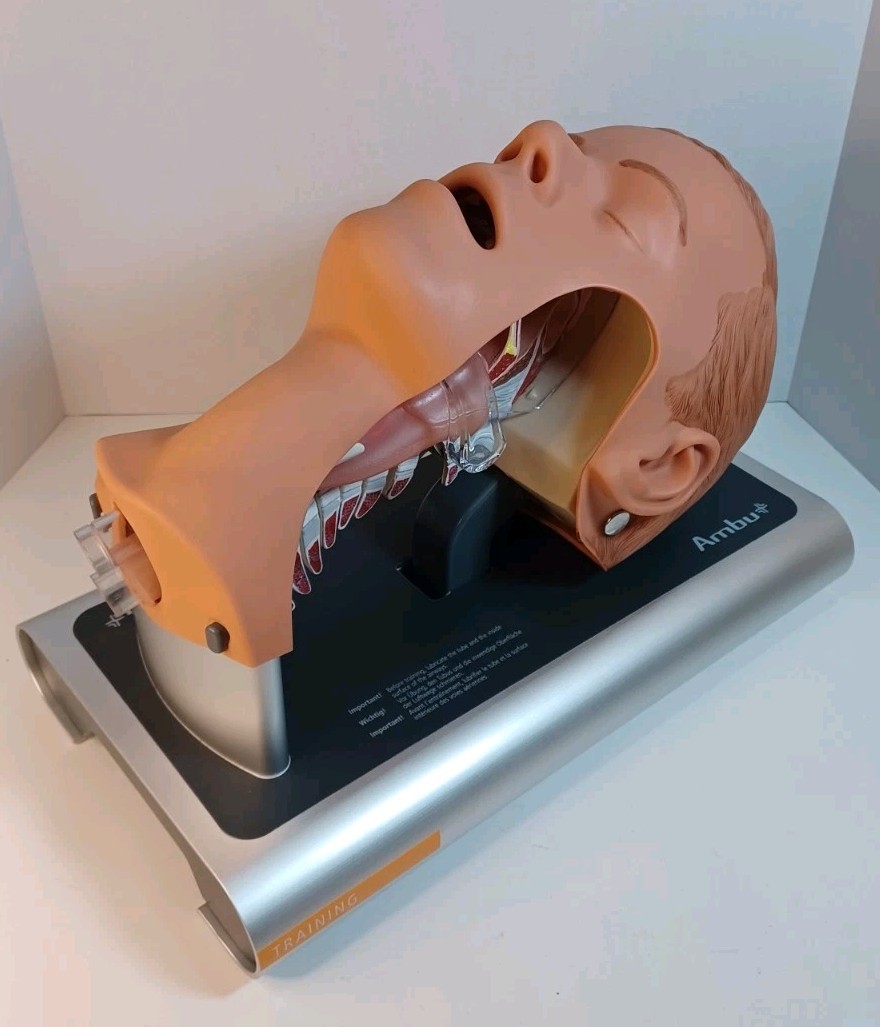 Ambu Intubation Airway Management Trainer – 186002000 - No Packaging