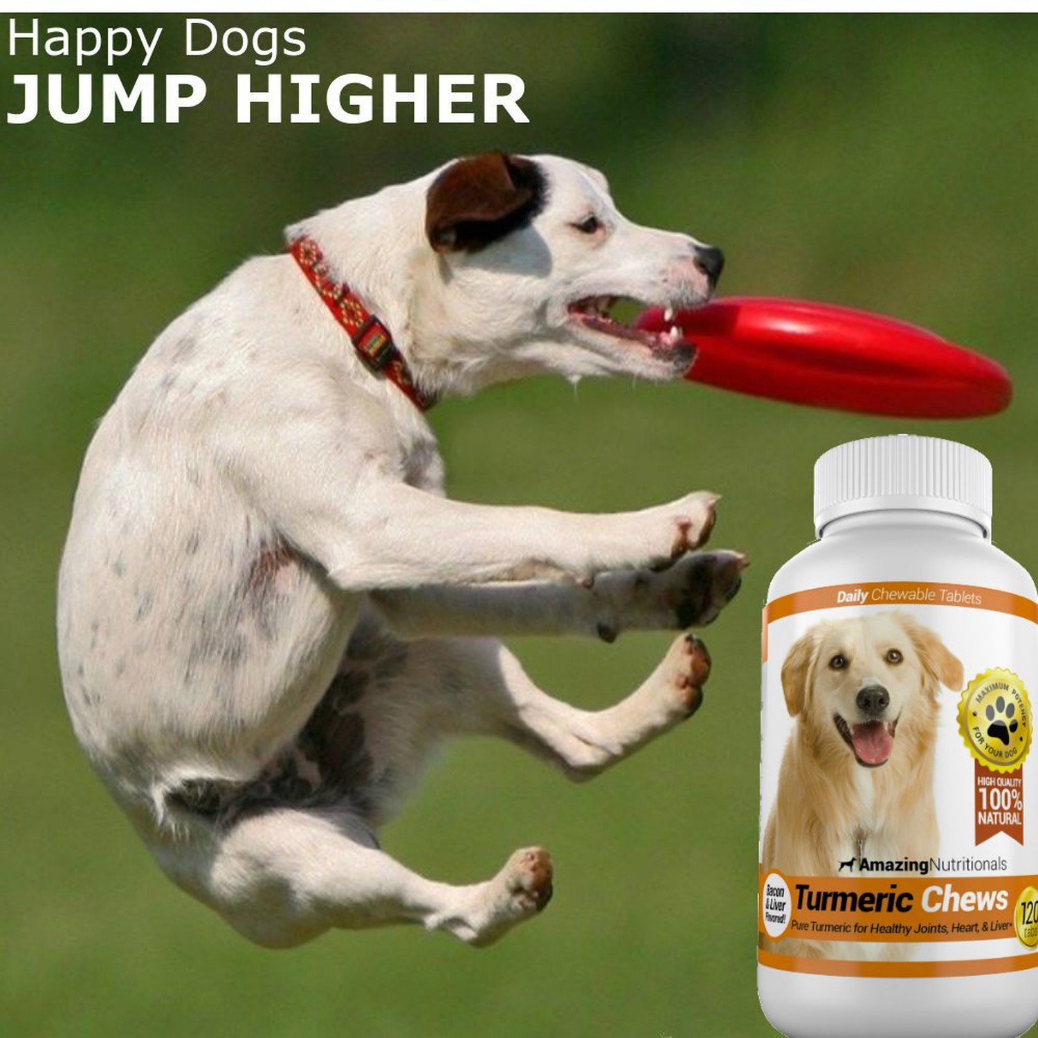 Amazing Turmeric for Dogs Curcumin Pet Antioxidant, Eliminates Joint Pain Inf...