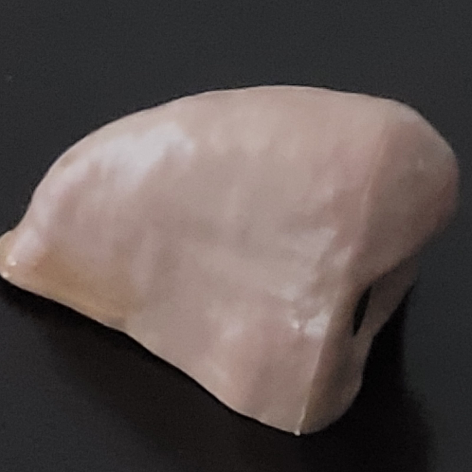 Vtg Artificial NOSE Hard Plastic Prosthesis Costume Cosplay Theater Halloween