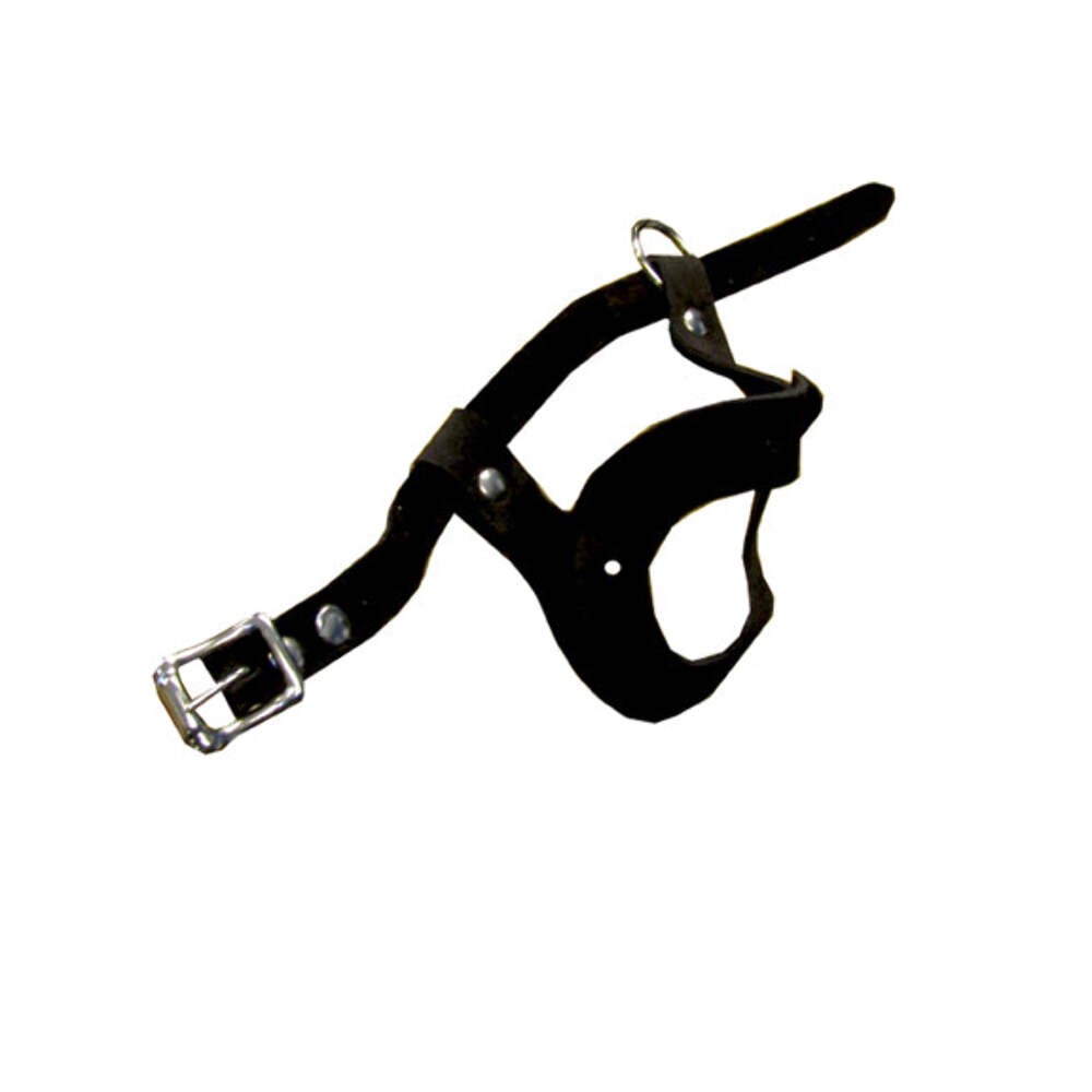 Pigeon Leather Harness