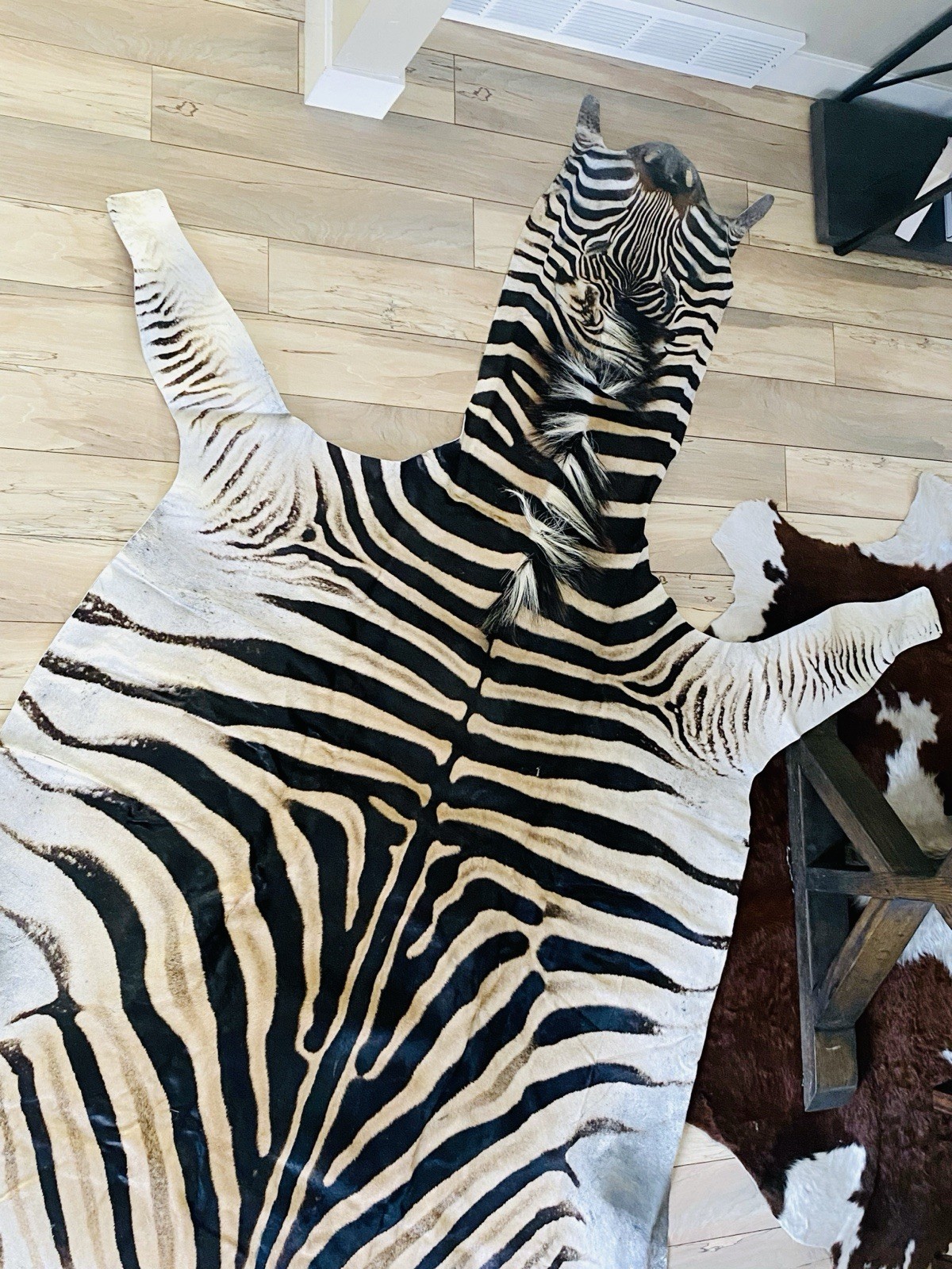 BEAUTIFUL GENUINE EQUUS BURCHELL ZEBRA SKIN RUG HIDE - US SHIPPER