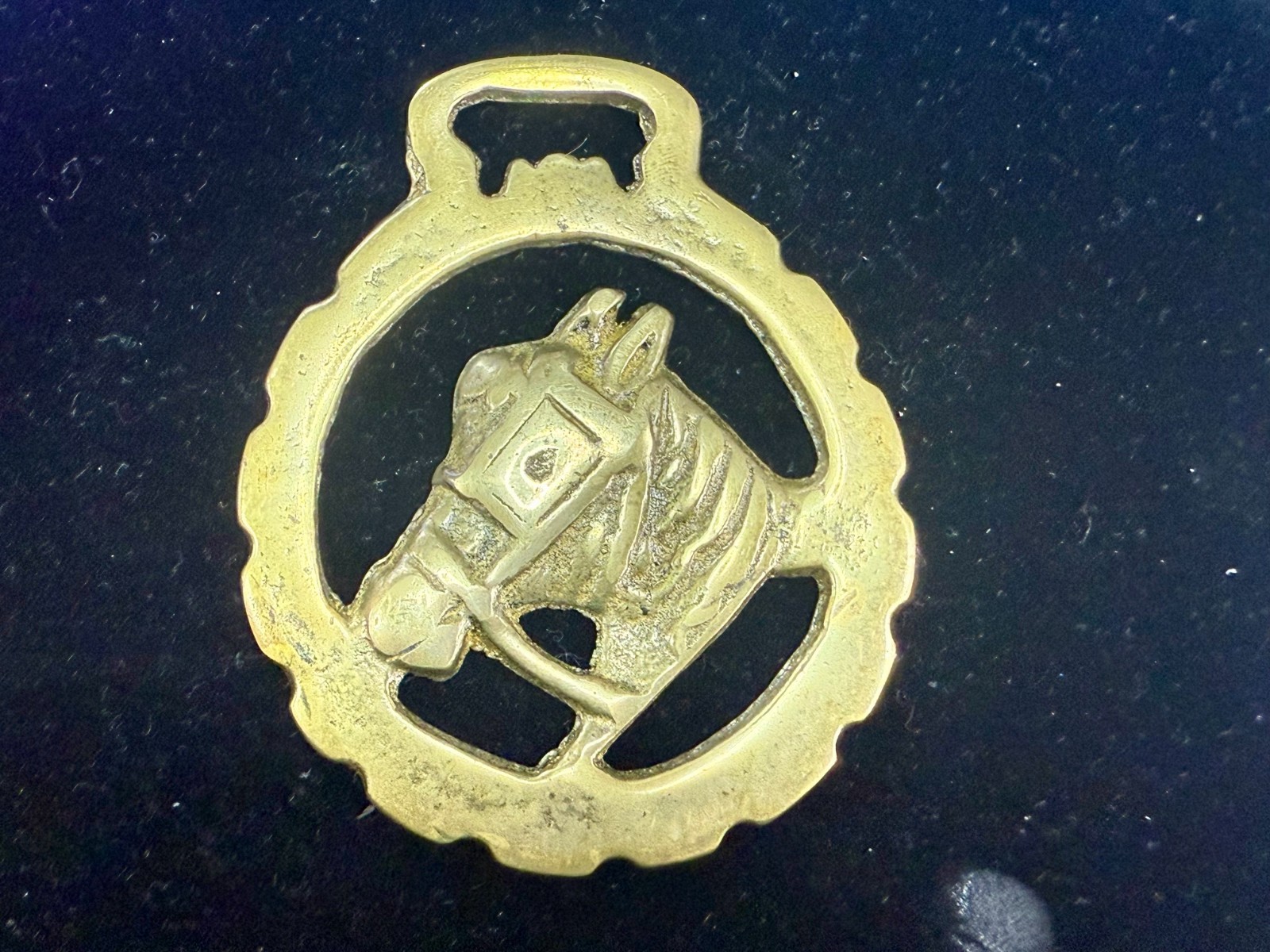 Horse Head with Blinkers Openwork Bridle Harness Saddle Medallion