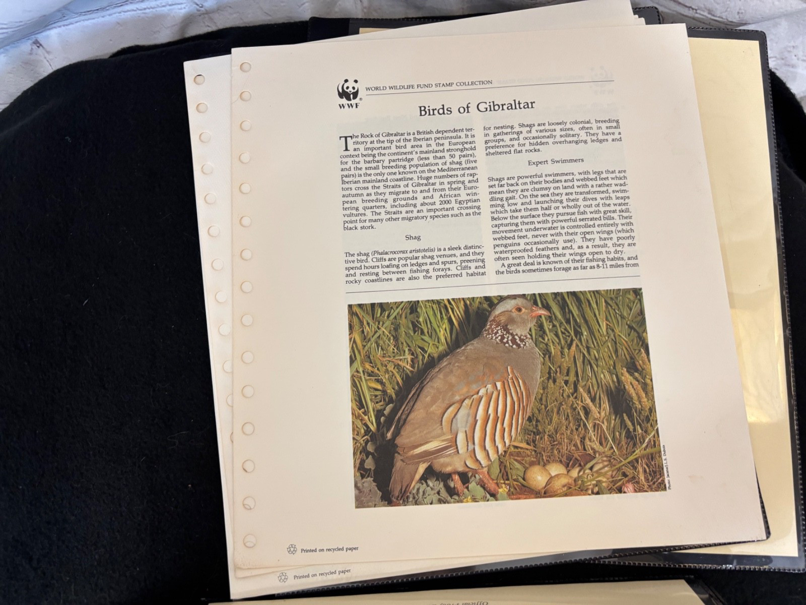 WWF various Official Proof Edition sheets lot