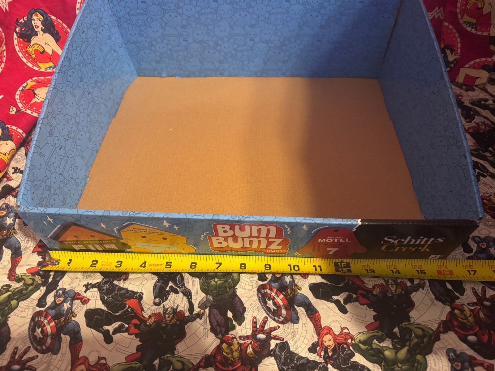 JAZWARES BUMBUMZ SCHITTS CREEK STORE DISPLAY BOX FOR COLLECTIBLES RARE NEW
