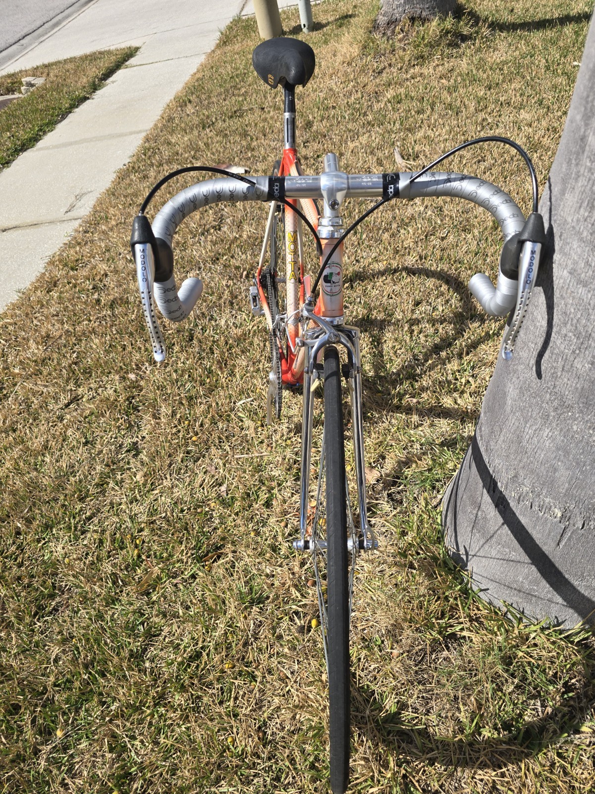 Gianni Motta Bike with Campagnolo Parts 53cm