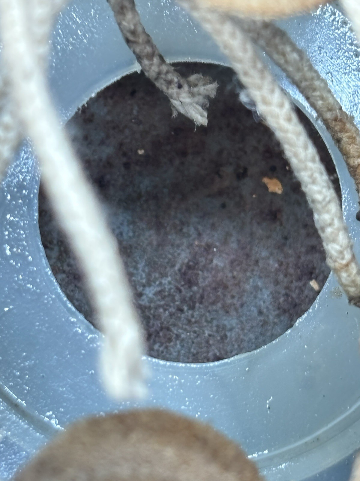 Vintage East German M56/76 Military Steel helmet