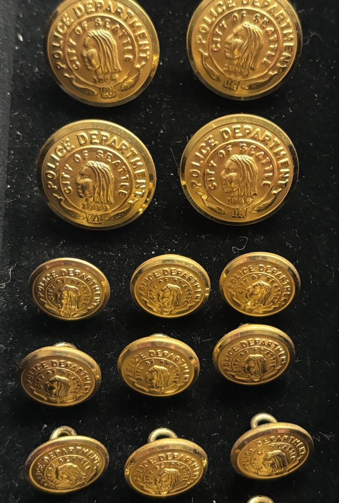 Waterbury Brass Buttons Seattle Washington Police Department Full Set