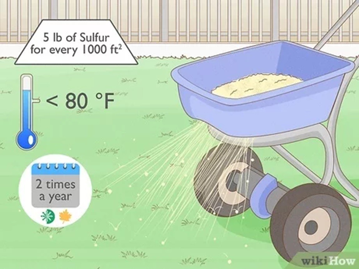 Elemental Sulphur Agricultural Sulfur Pellets Soil Acidifier ph down 90% FAST SH