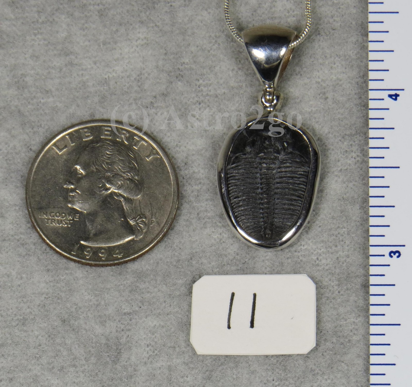 Elrathia Kingii TRILOBITE PENDANT $55 Sterling Silver Jewelry STARBORN CREATIONS