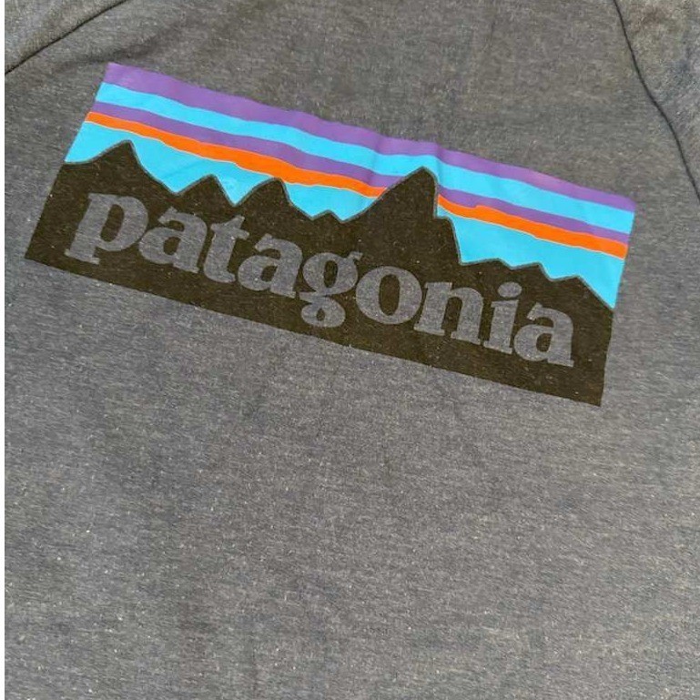 Patagonia Organic Cotton Long Sleeve Crewneck Pullover Shirt Men's Blue