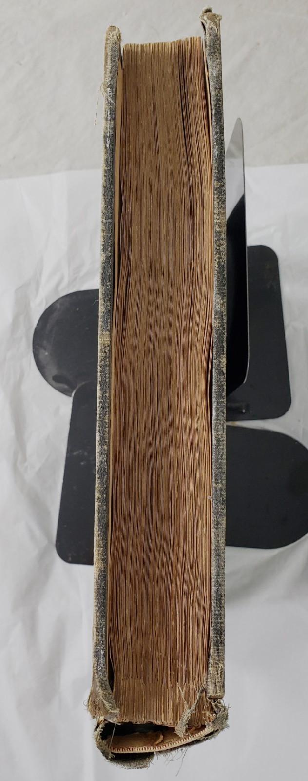 Antique Rare Manuscript Art Masters Hand Written History Commentary Illustrated