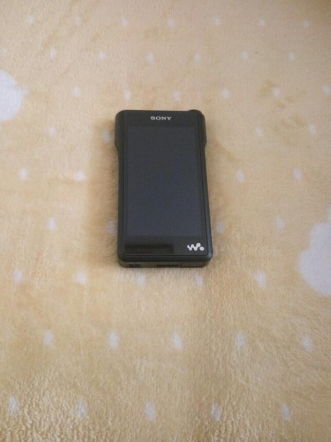 Tempered Glass Screen Protector Film For SONY WM1A WM1Z With Dust Plug