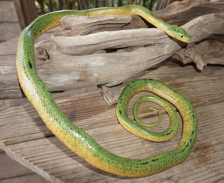 Green Mamba -52" Realistic Snake Replica - AAA