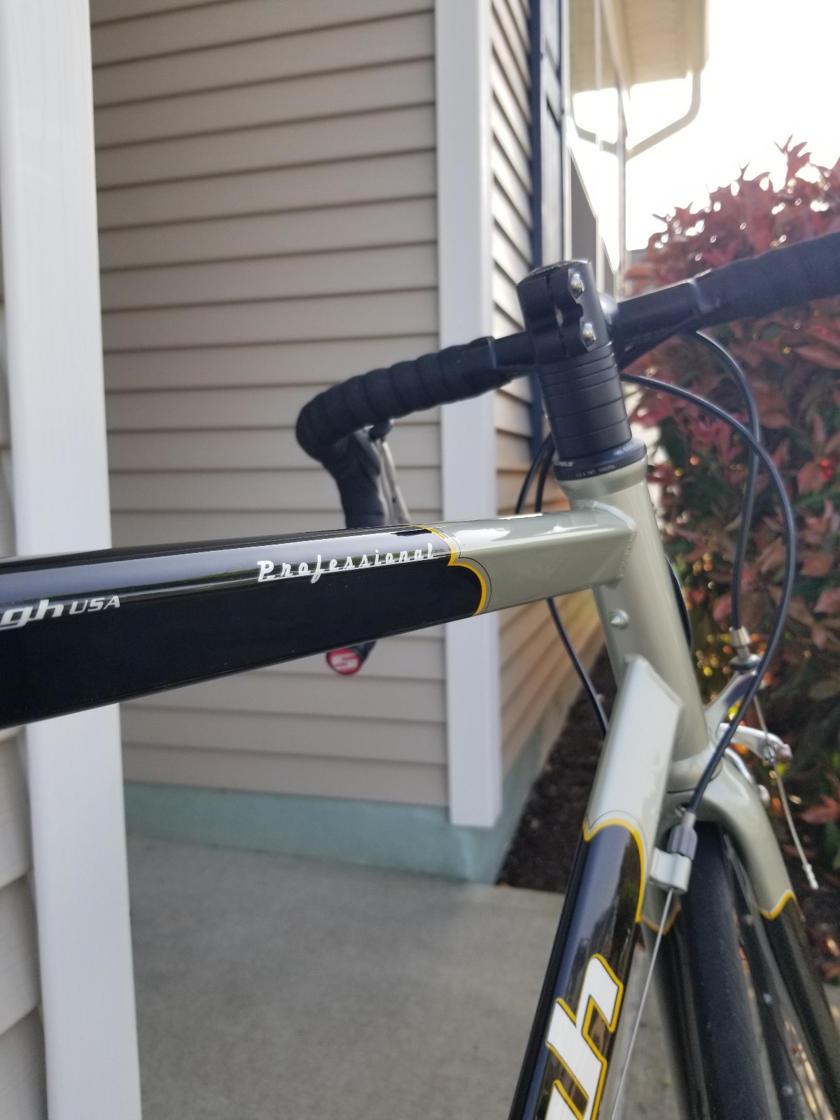 2003 Raleigh Professional, 56cm Columbus Steel Frame, Campagnolo Chorus Group