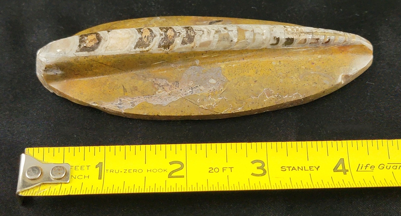 Vintage Ancient Orthoceras Squid Shell Fossil Morocco Approx 3.5" & 4.5" Lot of