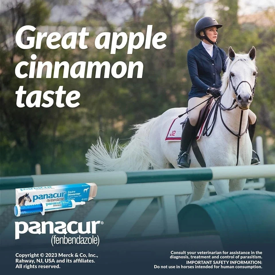 Panacur (3 Pack) Dewormer Horse Paste 10%, 100mg Each